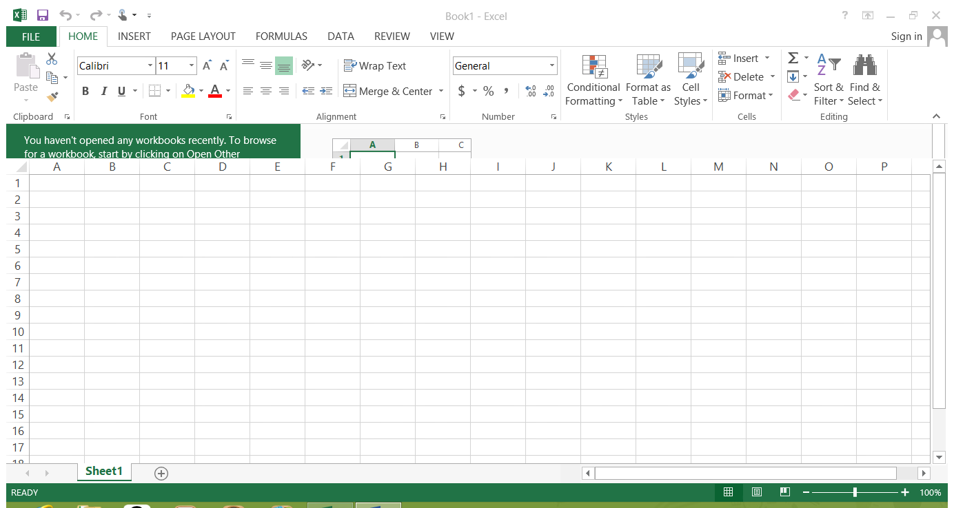 ms excel 2013